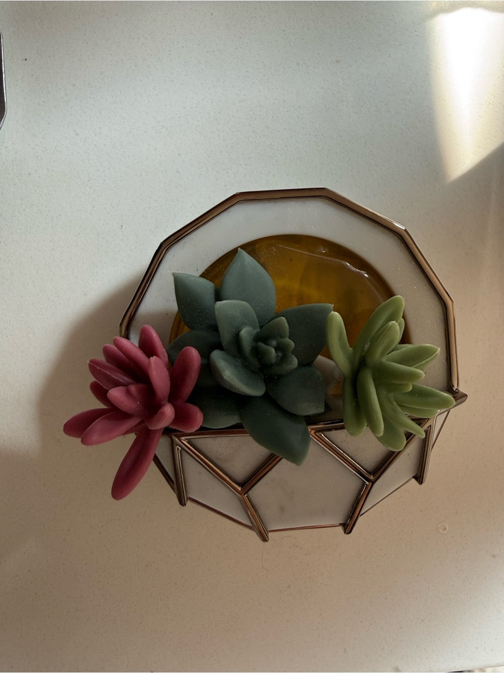 Bath & Body Works Succulent Car Fragrance Holder + 11 Refills Vanilla Bean Noel